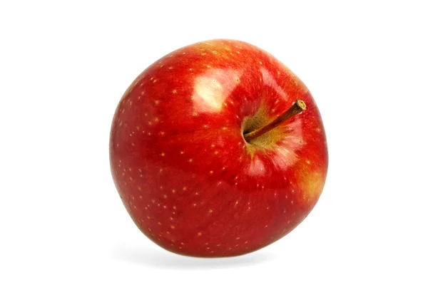 白色背景上的红苹果 — 图库照片