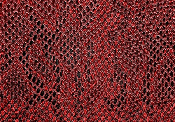 Red snake skin background — Stock Photo, Image