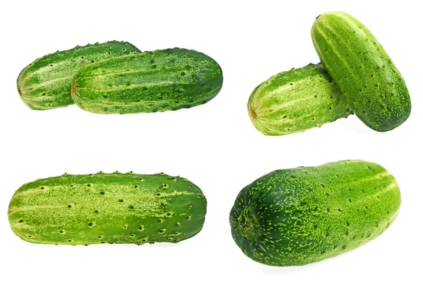 Conjunto de pepinos aislados sobre fondo blanco — Foto de Stock