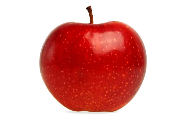 Red apple on a white background Royalty Free Stock Images