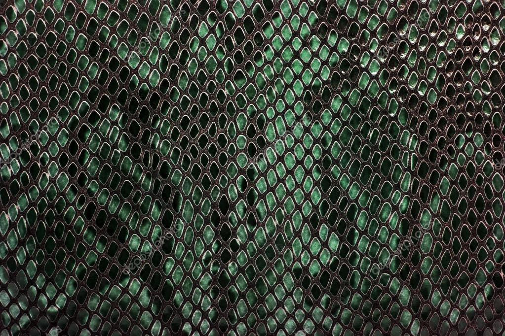 HD snake skin textures wallpapers