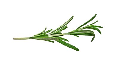 Beyaz arkaplanda biberiye izole edildi