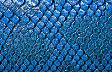 Deri yılan, arka plan olarak kullanabilirsiniz