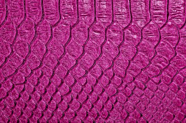 Deri yılan, arka plan olarak kullanabilirsiniz