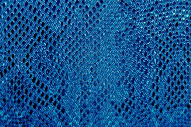 Mavi yılan deri arka plan