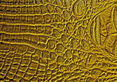 Timsah derisi doku arkaplanı