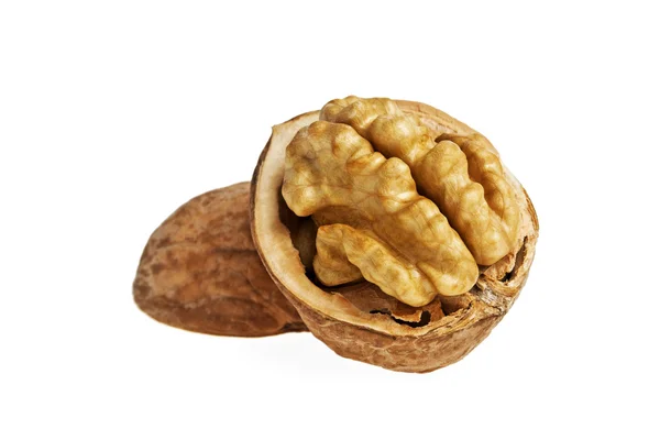 Dried walnuts isolated on white background — Stock Photo, Image