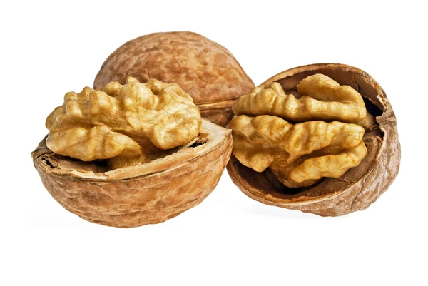 Dried walnuts isolated on white background — Stock Photo, Image