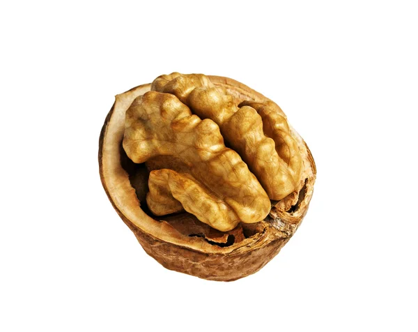Sušené vlašské ořechy izolovaných na bílém pozadí — Stock fotografie