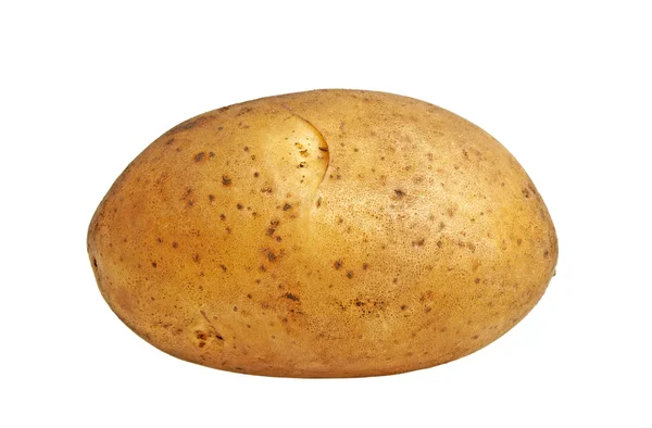 Kartoffel isoliert auf weißem Hintergrund — Stockfoto