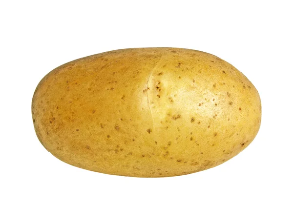 Potato isolated on white background — Stock Photo, Image