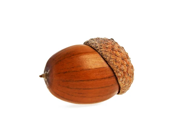 Acorn isolated on white background — Stock Photo, Image