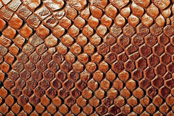 Snake skin, can use as background Royalty Free Stock Photos