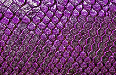 Arka plan olarak yılan derisi