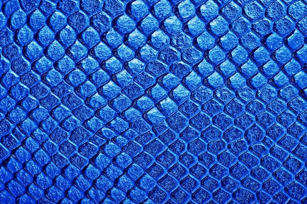 Snake skin as background — Stock Photo, Image