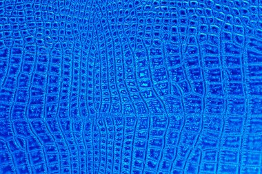 Timsah derisi doku arkaplanı