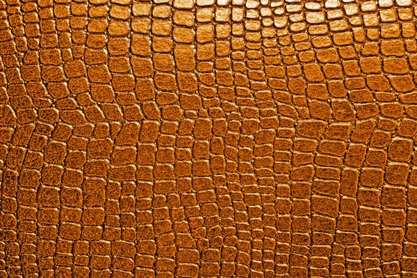 Alligator patterned as background — Stock Photo, Image