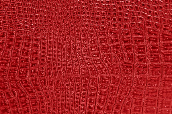 Αφηρημένο κόκκινο κροκόδειλος δέρμα, να χρησιμοποιήσετε ως φόντο — Φωτογραφία Αρχείου