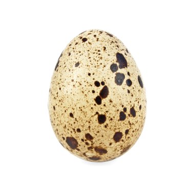 Bıldırcın yumurta beyaz zemin üzerine