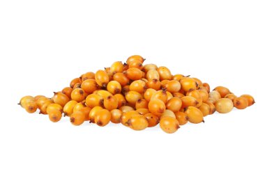 Deniz cehri çilek beyaz arka plan üzerinde izole