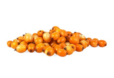 Deniz cehri çilek beyaz arka plan üzerinde izole