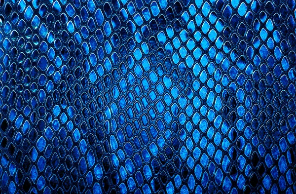 Yılan derisi arka plan olarak