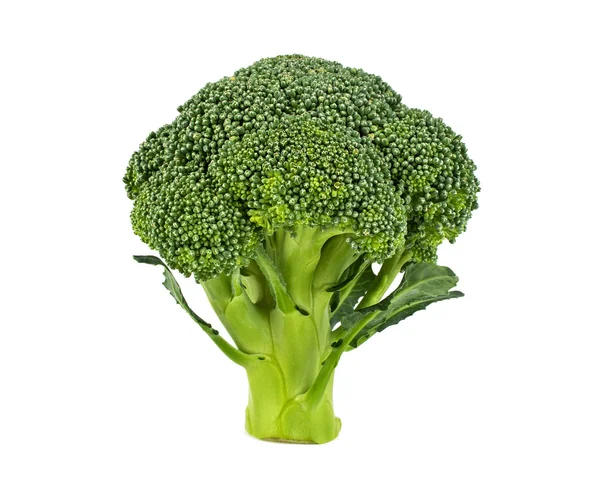 Verse broccoli geïsoleerd op witte achtergrond — Stockfoto