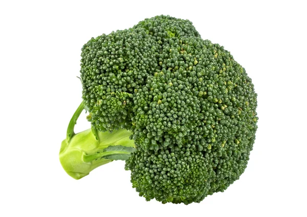 Broccoli freschi isolati su fondo bianco — Foto Stock