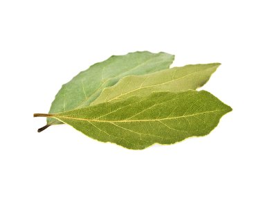 Beyaz bir arka plan üzerinde izole kurutulmuş bay defne yaprakları