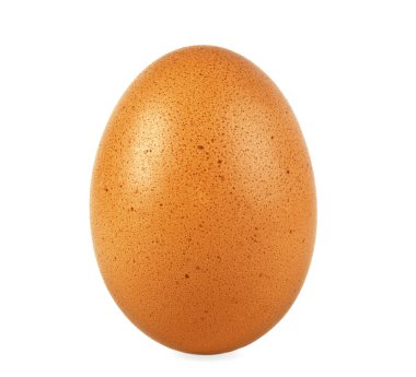 Beyaz arkaplanda yumurta izole