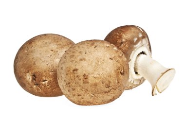 Beyaz arkaplanda şampiyon mantarı