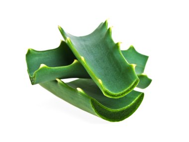 Aloe beyaz arkaplanda izole edildi
