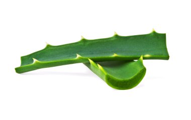 Aloe beyaz arkaplanda izole edildi