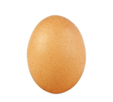 Beyaz arkaplanda yumurta izole