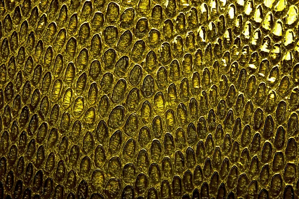 Snake skin, can use as background — Stockfoto