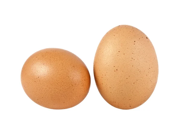 Ovos de galinha marrom isolados no fundo branco — Fotografia de Stock