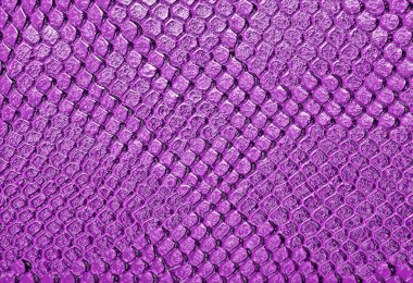 Deri yılan, arka plan olarak kullanabilirsiniz