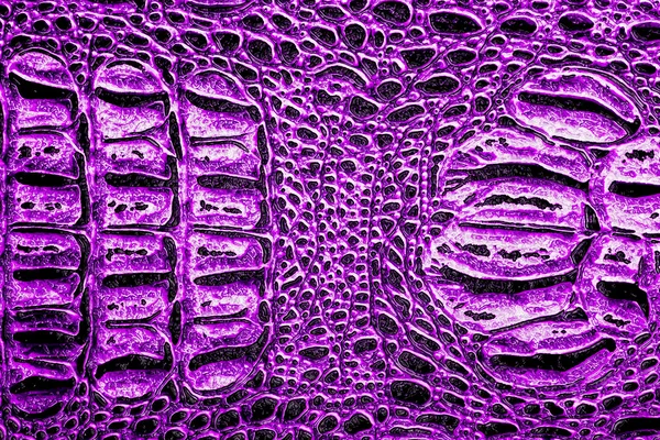 紫罗兰色的鳄鱼图案背景 — 图库照片