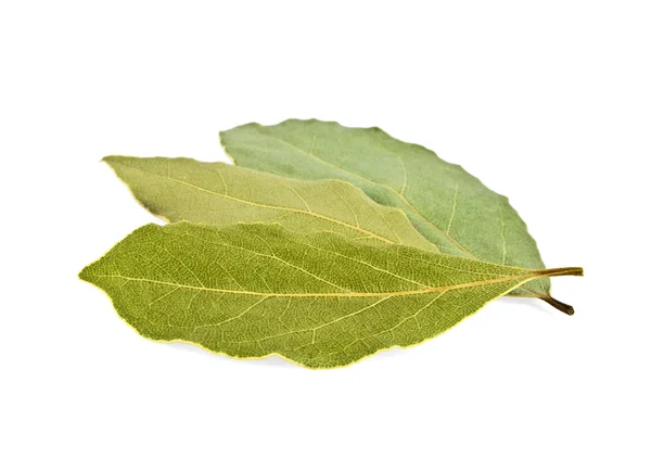 Gedroogde laurierblaadjes geïsoleerd op een witte achtergrond — Stockfoto