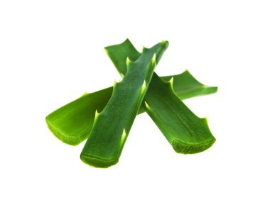 aloe vera taze yaprak beyaz arka plan üzerinde izole