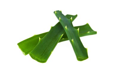 aloe vera taze yaprak beyaz arka plan üzerinde izole