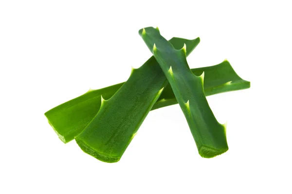 Aloe vera färska blad isolerad på vit bakgrund — Stockfoto