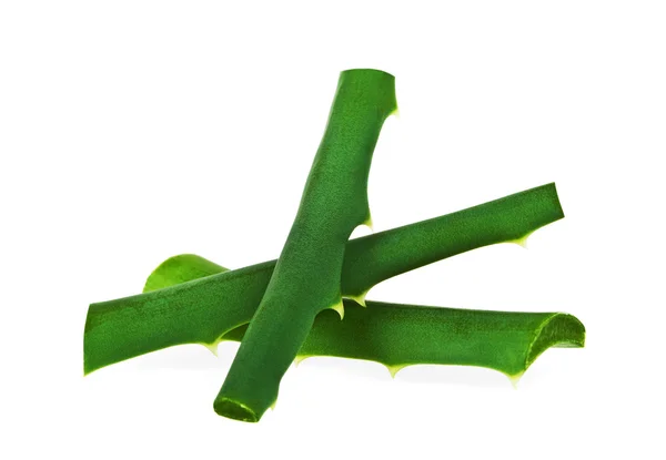 Aloe vera świeży liść na białym tle — Zdjęcie stockowe