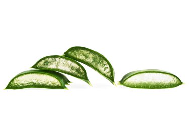 Taze aloe vera beyaz zemin üzerine dilimlenmiş
