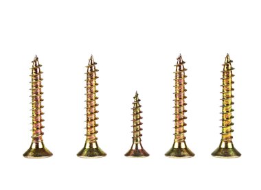 Beyaz arkaplanda çeşitli vidalar