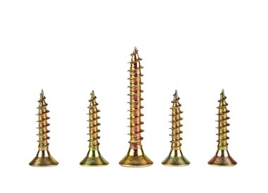 Beyaz arkaplanda çeşitli vidalar