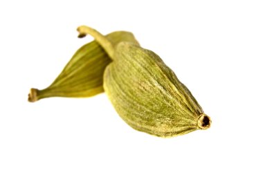 Kakuleden bakla beyaz zemin üzerine, yakın çekim