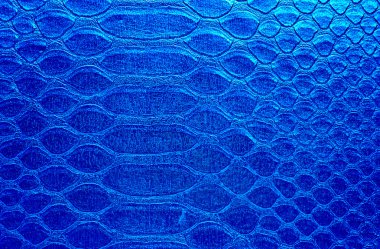 Deri yılan, arka plan olarak kullanabilirsiniz