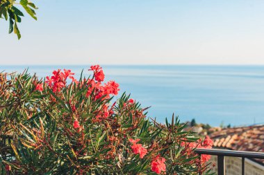 Çiçeklerle okyanus ya da deniz manzarası
