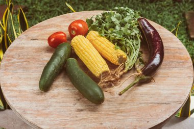 Sebze, guguk kuşu, domates, kişniş, patlıcan.